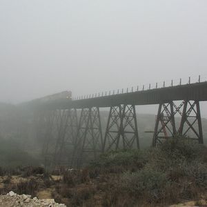 Meet your Posher, Paul